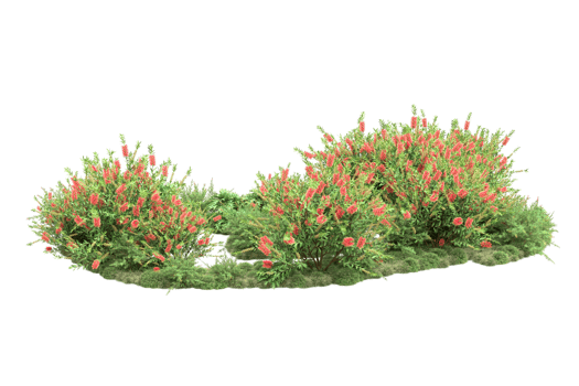 Realistic forest isolated on transparent background. 3d rendering - illustration png