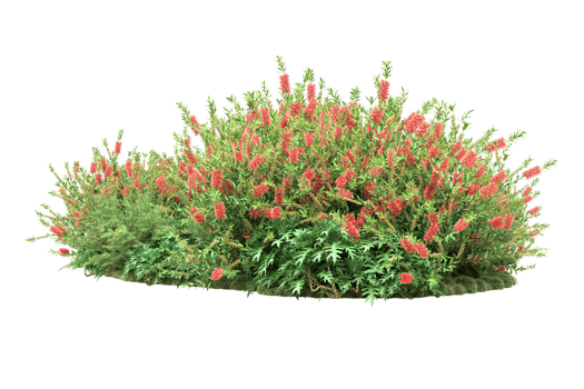 Realistic forest isolated on transparent background. 3d rendering - illustration png