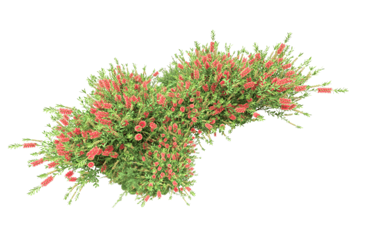 Realistic forest isolated on transparent background. 3d rendering - illustration png