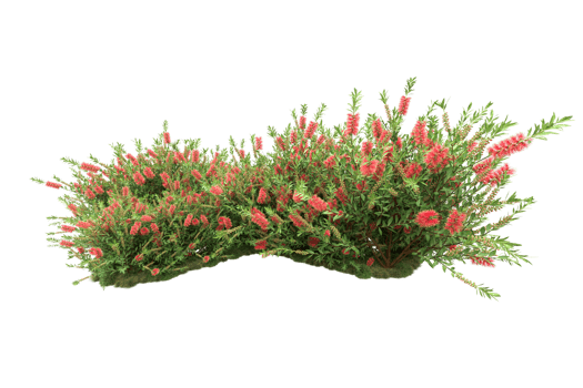 Realistic forest isolated on transparent background. 3d rendering - illustration png