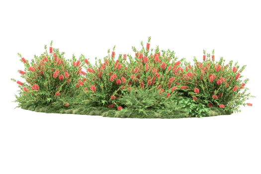 Realistic forest isolated on transparent background. 3d rendering - illustration png