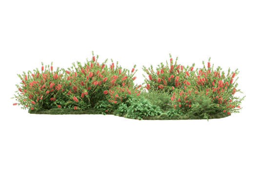 Realistic forest isolated on transparent background. 3d rendering - illustration png
