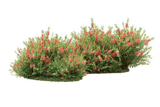 Realistic forest isolated on transparent background. 3d rendering - illustration png