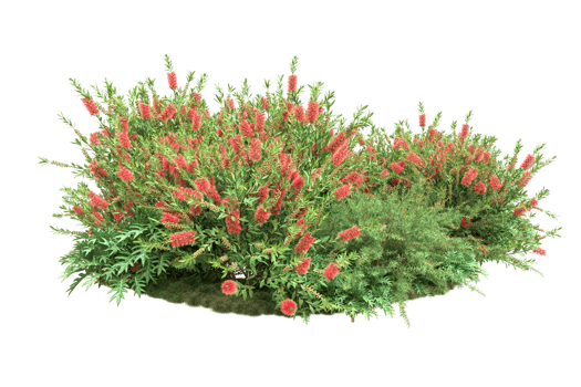 Realistic forest isolated on transparent background. 3d rendering - illustration png