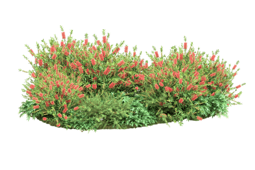 Realistic forest isolated on transparent background. 3d rendering - illustration png