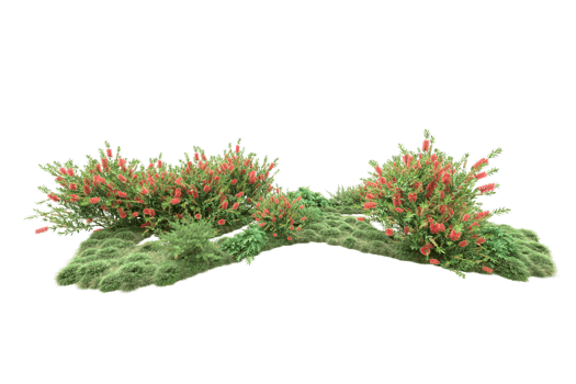 Realistic forest isolated on transparent background. 3d rendering - illustration png