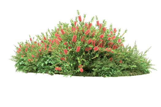 Realistic forest isolated on transparent background. 3d rendering - illustration png