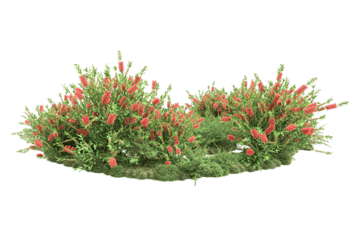 Realistic forest isolated on transparent background. 3d rendering - illustration png