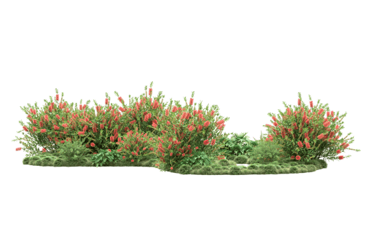 Realistic forest isolated on transparent background. 3d rendering - illustration png