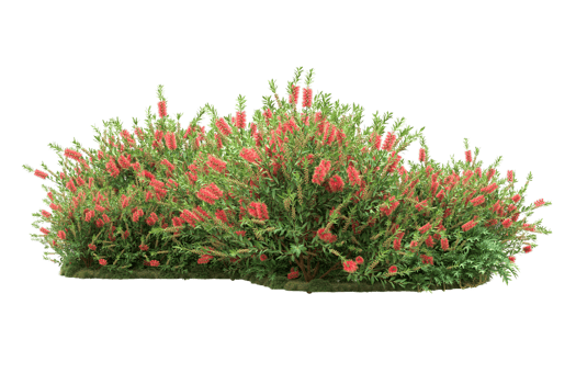 Realistic forest isolated on transparent background. 3d rendering - illustration png