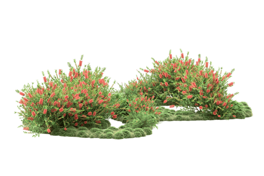 Realistic forest isolated on transparent background. 3d rendering - illustration png