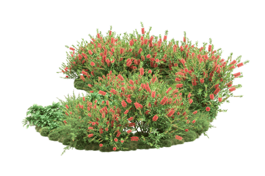 Realistic forest isolated on transparent background. 3d rendering - illustration png