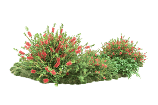Realistic forest isolated on transparent background. 3d rendering - illustration png