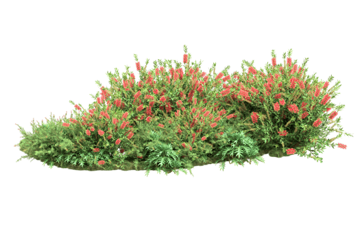 Realistic forest isolated on transparent background. 3d rendering - illustration png