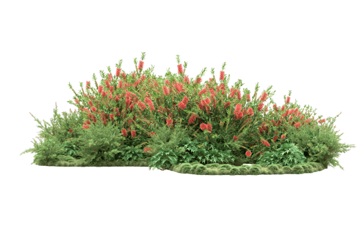Realistic forest isolated on transparent background. 3d rendering - illustration png