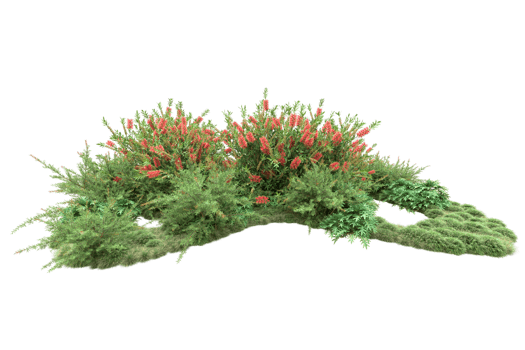 Realistic forest isolated on transparent background. 3d rendering - illustration png