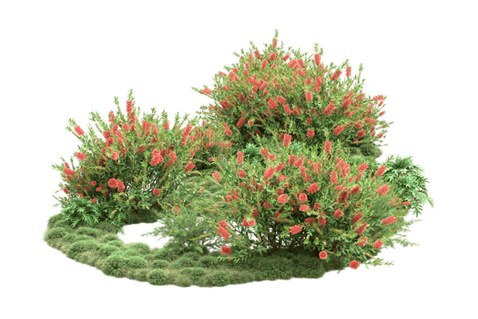 Realistic forest isolated on transparent background. 3d rendering - illustration png