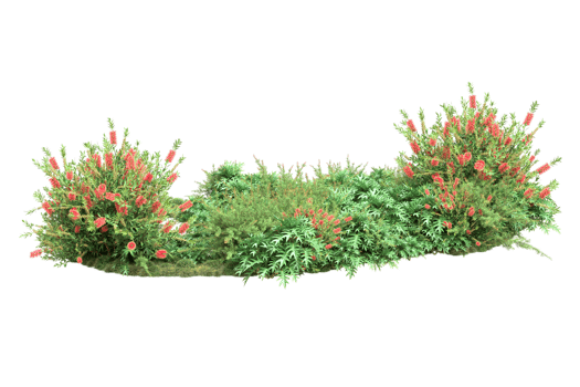 Realistic forest isolated on transparent background. 3d rendering - illustration png