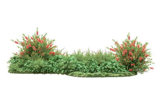 Realistic forest isolated on transparent background. 3d rendering - illustration png
