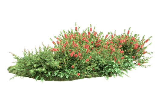 Realistic forest isolated on transparent background. 3d rendering - illustration png