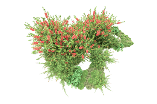 Realistic forest isolated on transparent background. 3d rendering - illustration png