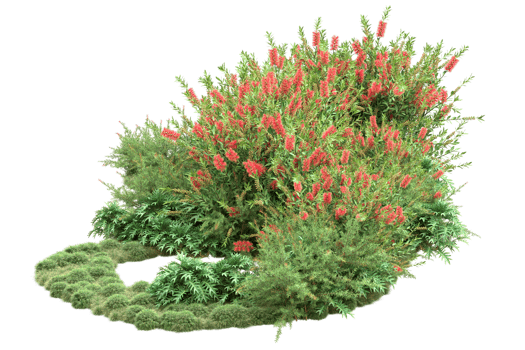 Realistic forest isolated on transparent background. 3d rendering - illustration png