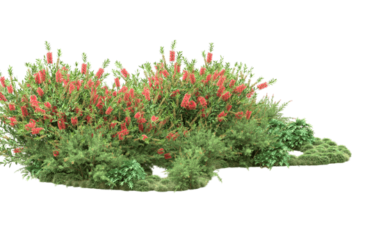 Realistic forest isolated on transparent background. 3d rendering - illustration png