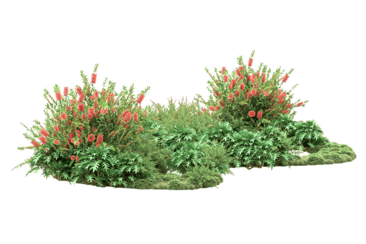 Realistic forest isolated on transparent background. 3d rendering - illustration png