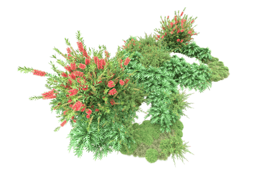 Realistic forest isolated on transparent background. 3d rendering - illustration png