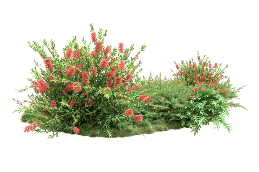 Realistic forest isolated on transparent background. 3d rendering - illustration png