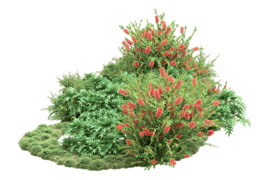 Realistic forest isolated on transparent background. 3d rendering - illustration png