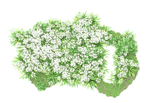 Realistic forest isolated on transparent background. 3d rendering - illustration png