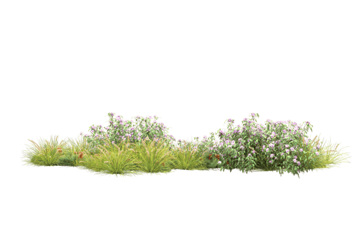 Realistic forest isolated on transparent background. 3d rendering - illustration png