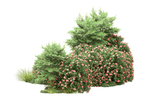 Realistic forest isolated on transparent background. 3d rendering - illustration png