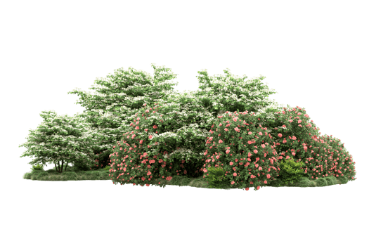 Realistic forest isolated on transparent background. 3d rendering - illustration png