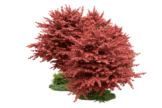 Realistic forest isolated on transparent background. 3d rendering - illustration png