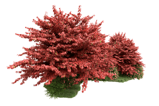 Realistic forest isolated on transparent background. 3d rendering - illustration png