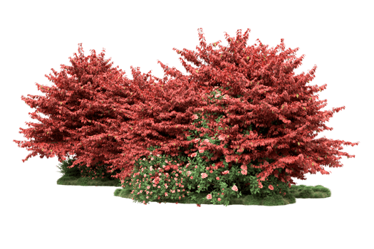 Realistic forest isolated on transparent background. 3d rendering - illustration png