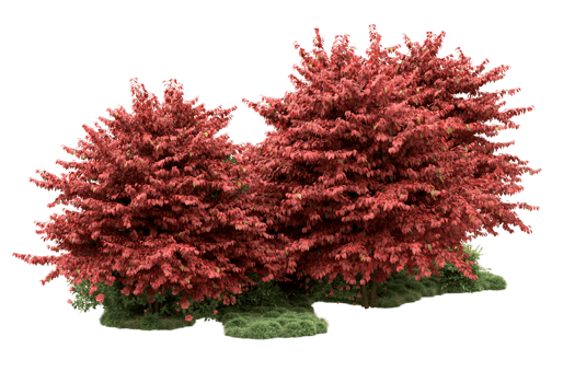 Realistic forest isolated on transparent background. 3d rendering - illustration png
