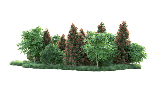 Realistic forest isolated on transparent background. 3d rendering - illustration png