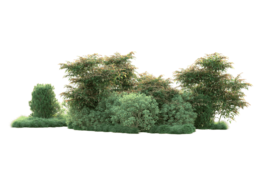 Tropical forest isolated on transparent background. 3d rendering - illustration png