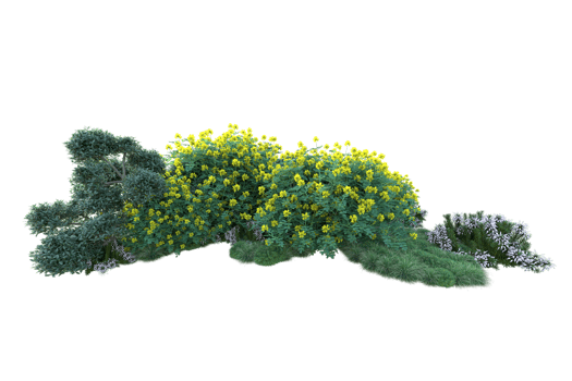 Tropical forest isolated on transparent background. 3d rendering - illustration png