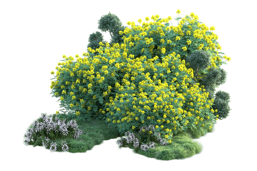 Tropical forest isolated on transparent background. 3d rendering - illustration png