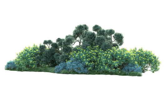 Tropical forest isolated on transparent background. 3d rendering - illustration png