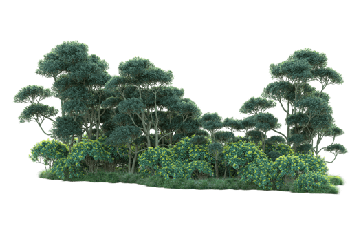 Tropical forest isolated on transparent background. 3d rendering - illustration png