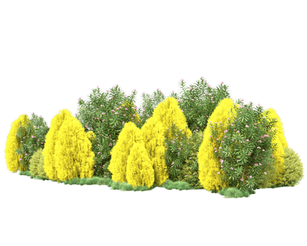 Tropical forest isolated on transparent background. 3d rendering - illustration png