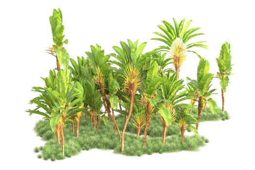 Tropical forest isolated on transparent background. 3d rendering - illustration png