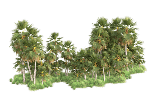 Tropical forest isolated on transparent background. 3d rendering - illustration png