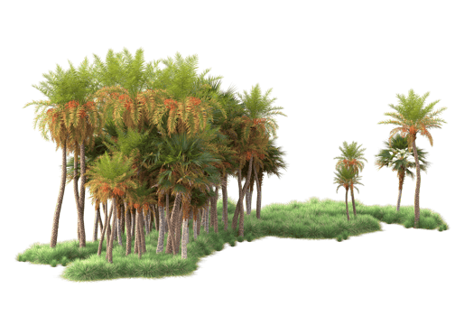 Tropical forest isolated on transparent background. 3d rendering - illustration png