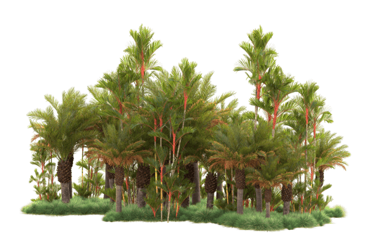 Tropical forest isolated on transparent background. 3d rendering - illustration png